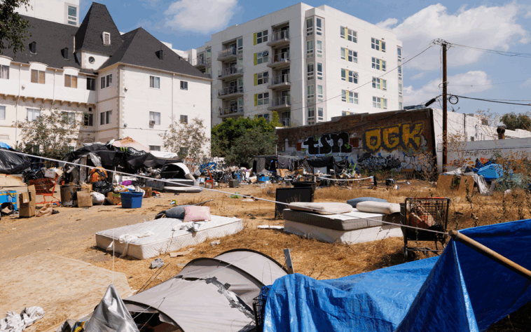 los-angeles-city-council-candidate-pledges-to-live-in-trailer-outside-drug-infested-park