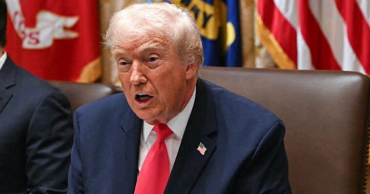 watch:-the-fieriest-trump-comments-in-history-just-came-out-during-cabinet-meeting-–-potus-utterly-scorched-omar-and-somalis,-calling-them-‘garbage’-from-‘stinking-country’