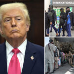 trump-travel-ban-could-expand-to-30-countries-after-dc-national-guard-shooting-–-list-coming-‘soon’ 
