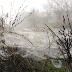 fiber-optic-drones-that-can’t-be-jammed-are-leaving-webs-of-wires-everywhere-in-ukraine’s-battlefields