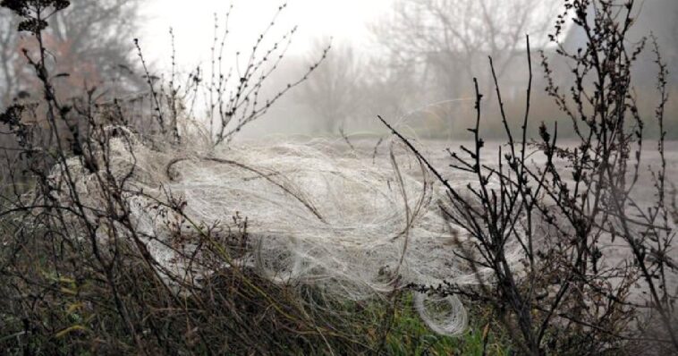 fiber-optic-drones-that-can’t-be-jammed-are-leaving-webs-of-wires-everywhere-in-ukraine’s-battlefields