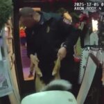 watch:-rogue-deer-smashes-up-christmas-store-after-break-in,-cops-find-her-trapped-at-the-scene