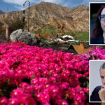 california-law-could-force-2m-homeowners-to-rip-out-gardens-due-to-fire-risk