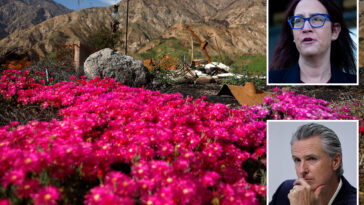 california-law-could-force-2m-homeowners-to-rip-out-gardens-due-to-fire-risk