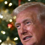 trump-posts-tribute-to-‘home-alone-2’-casting-biden-and-harris-as-villains