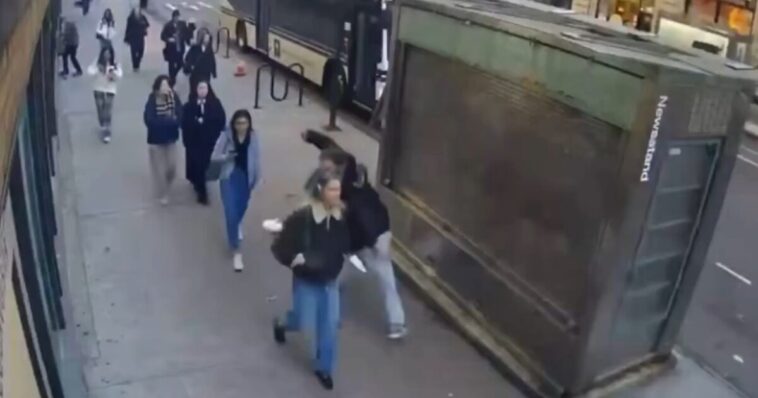 homeless-career-criminal-with-history-of-assaulting-women-arrested-for-slapping-nyu-student,-pulling-her-hair-(video)