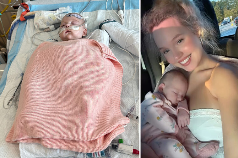 ‘tradwife’-influencer-estee-williams-reveals-3-month-old-daughter’s-on-‘full-life-support’-after-cardiac-arrest