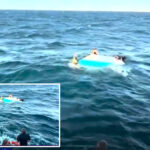 woman,-51,-and-boy,-17,-rescued-after-three-hour-paddleboarding-ordeal-off-melbourne