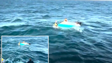 woman,-51,-and-boy,-17,-rescued-after-three-hour-paddleboarding-ordeal-off-melbourne