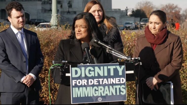 democrat-plan-to-undermine-ice-has-a-dei-twist