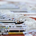 siena-lacrosse-coach-gleason,-41,-dies-after-fall