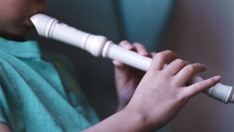 person-who-apparently-hates-you-got-your-kid-a-recorder