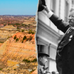 interior-department-plans-ai-theodore-roosevelt-exhibit-for-america250