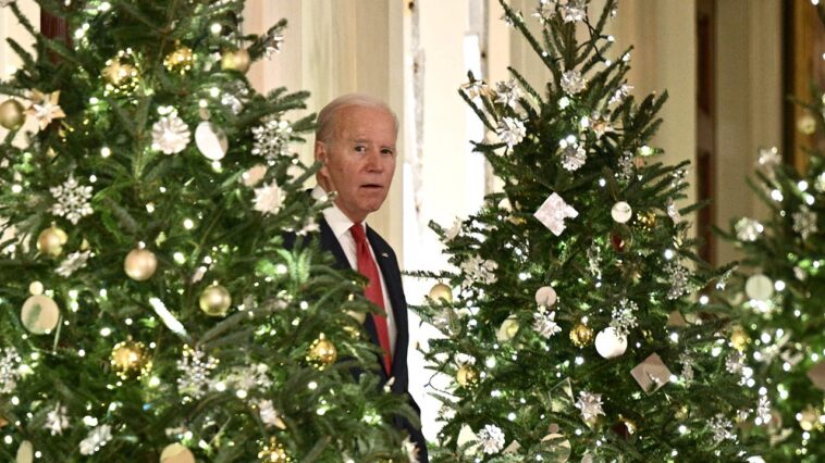 joe-biden-blows-up-social-media-over-‘humiliating’-family-christmas-photo-he’s-barely-visible-in