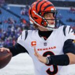 burrow-gifts-offensive-linemen-authentic-dinosaur,-bear-and-mammoth-fossils-for-christmas