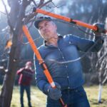 must-have-winter-yard-tools:-chainsaws,-snow-blowers-and-pet-safe-ice-melts