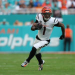 bold-fantasy-football-predictions-for-week-17,-the-championship-round!