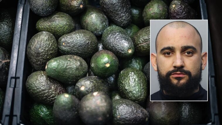 florida-man-allegedly-steals-400-pounds-of-avocados-to-buy-christmas-presents-for-children