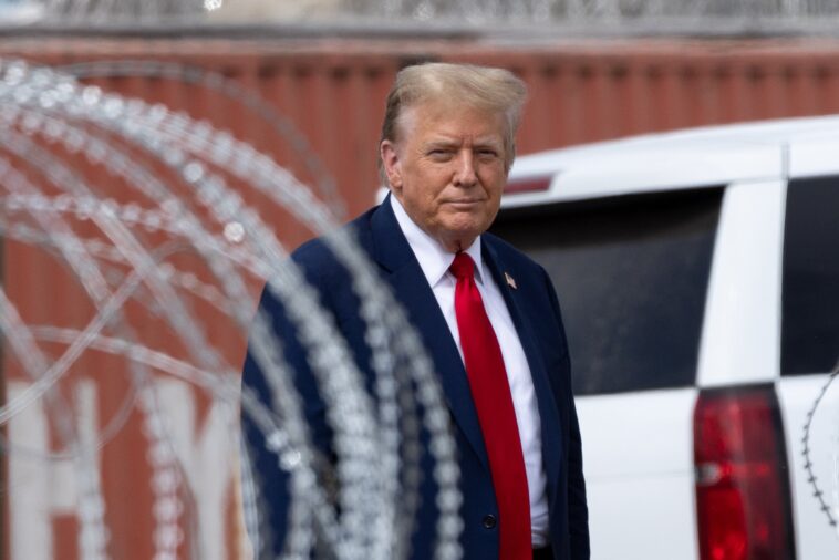 why-donald-trump-has-expansive-authority-to-remove-third-world-invaders