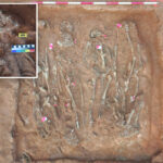 archaeologists-unearth-extraordinary-mass-graves-from-centuries-old-european-battles