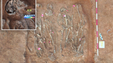 archaeologists-unearth-extraordinary-mass-graves-from-centuries-old-european-battles