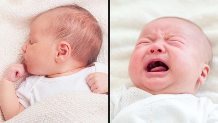 child-who-looks-like-perfect-angel-while-sleeping-transforms-into-demonic-hellion-upon-waking-up