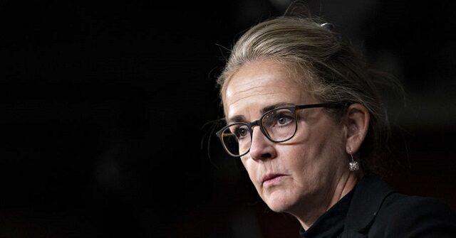 dem-rep.-dean:-nigeria-isis-target-strikes-‘chaos-and-distraction’