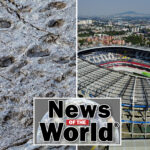 news-of-the-world:-what-you-missed-this-week-internationally