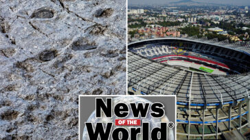 news-of-the-world:-what-you-missed-this-week-internationally