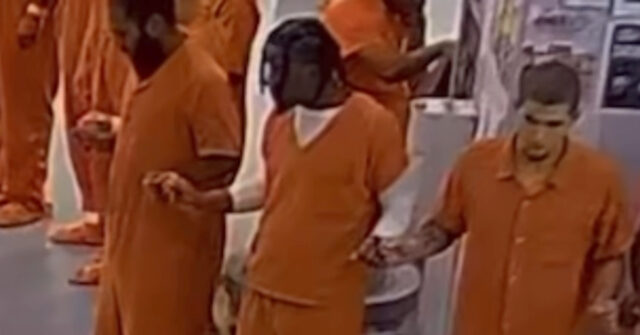 watch-—-‘unity-and-hope’:-michigan-inmates-join-hands-to-pray-the-lord’s-prayer-on-christmas-eve