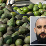 florida-man-allegedly-stole-400-pounds-of-avocados-to-buy-christmas-presents-for-children