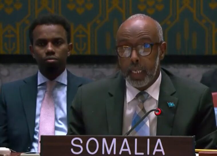 wtf?-failed-state-somalia-to-assume-presidency-of-un.-security-council-in-january