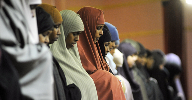 vance-praises-youtuber-nick-shirley’s-report-on-somali-fraud-in-minnesota:-‘far-more-useful-journalism’-than-2024-pulitzer-prize-winners