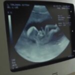 pro-life-group-at-the-university-of-southern-maine-facing-constant-harassment,-including-threat-referencing-charlie-kirk’s-murder