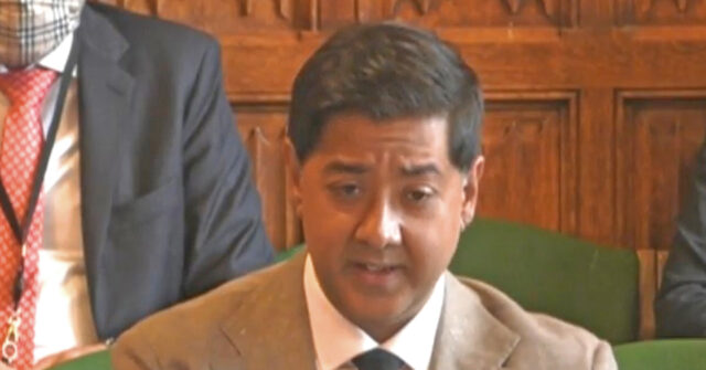 ‘radical-activist’-ngo-boss-at-centre-of-breitbart-censorship-scandal-denies-being-a-censor