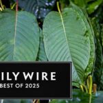 best-of-2025:-this-drug-is-sold-in-your-gas-station-it-may-trigger-the-‘fourth-wave’-of-the-opioid-crisis.