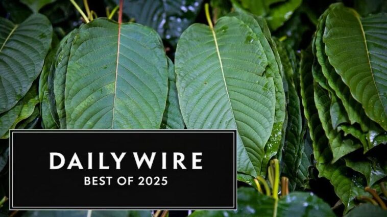 best-of-2025:-this-drug-is-sold-in-your-gas-station-it-may-trigger-the-‘fourth-wave’-of-the-opioid-crisis.