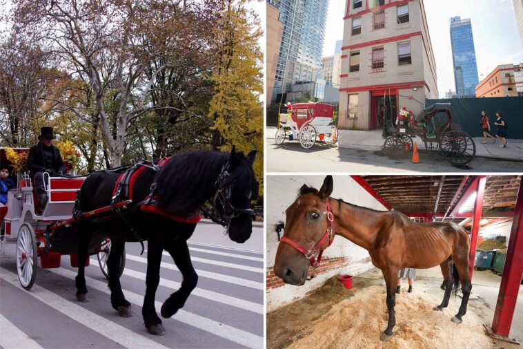 nyc-horse-carriages-refuse-animal-testing,-prompting-threat-of-lawsuit-or-suspension-by-city