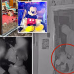 ‘mickey-bandits’-trapped-toting-huge-disney-mouse-doll-at-scene-of-break-in