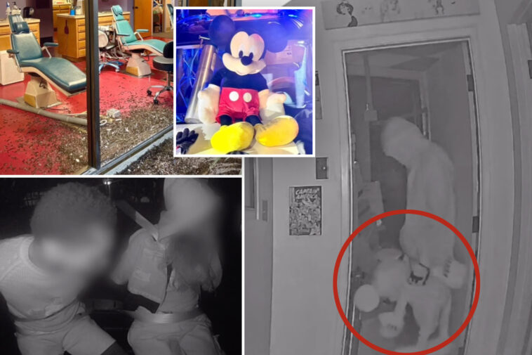 ‘mickey-bandits’-trapped-toting-huge-disney-mouse-doll-at-scene-of-break-in