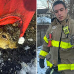 upstate-ny-firefighters-rescue-squirrel-trapped-in-dumpster-on-christmas-eve