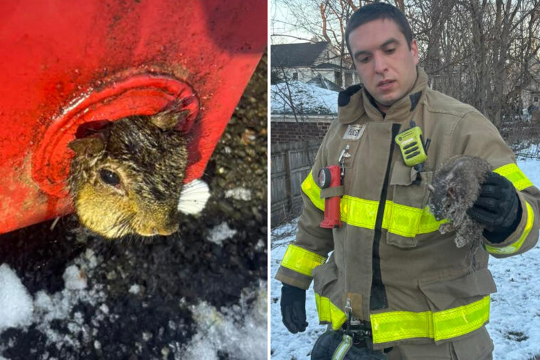 upstate-ny-firefighters-rescue-squirrel-trapped-in-dumpster-on-christmas-eve