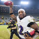 nfl-week-17-scores:-afc-north,-nfc-south-up-for-grabs-as-playoff-picture-almost-complete