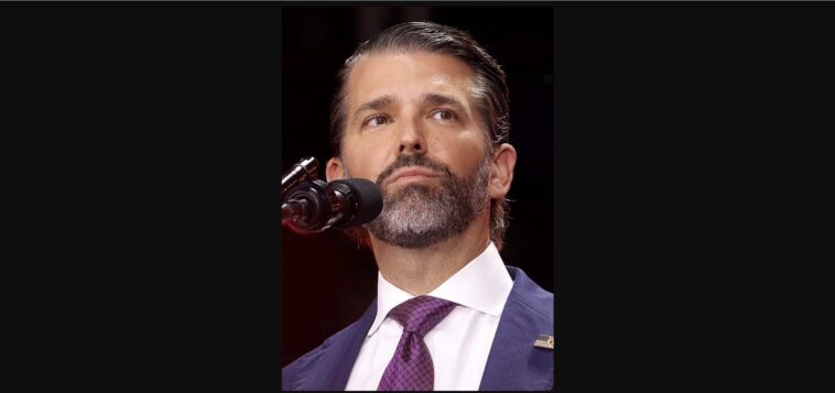 no,-don-jr.-did-not-get-a-$620-million-government-loan-for-rare-earths