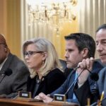 will-the-real-jan-6-perpetrators-walk-free?-harmeet-dhillon-chimes-in