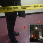 connecticut-boy,-15,-killed-and-another-teen-wounded-in-nyc-public-housing-shooting:-cops