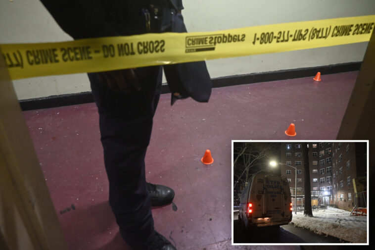 connecticut-boy,-15,-killed-and-another-teen-wounded-in-nyc-public-housing-shooting:-cops