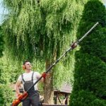 ny-times:-trump’s-migration-policy-threatens-nation’s-shrubbery