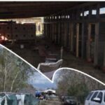 dozens-flee-as-texas-deputies-raid-suspected-cockfighting-ring-near-houston;-hundreds-of-birds-seized