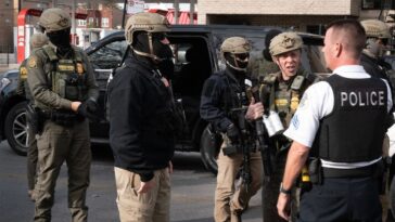 how-is-this-not-racist?-ex-msnbc-host-trashes-minorities-for-working-with-ice-to-catch-criminals